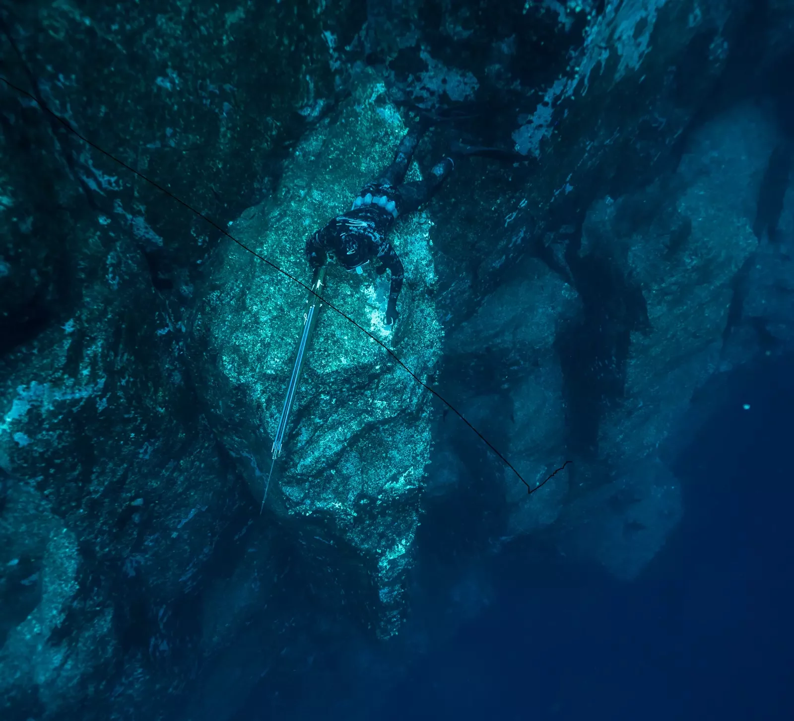 DAVID OCHOA: SPREADFISHING GUIDE AND FILMMAKER